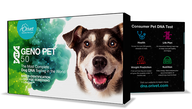 Geno Pet 50 Test